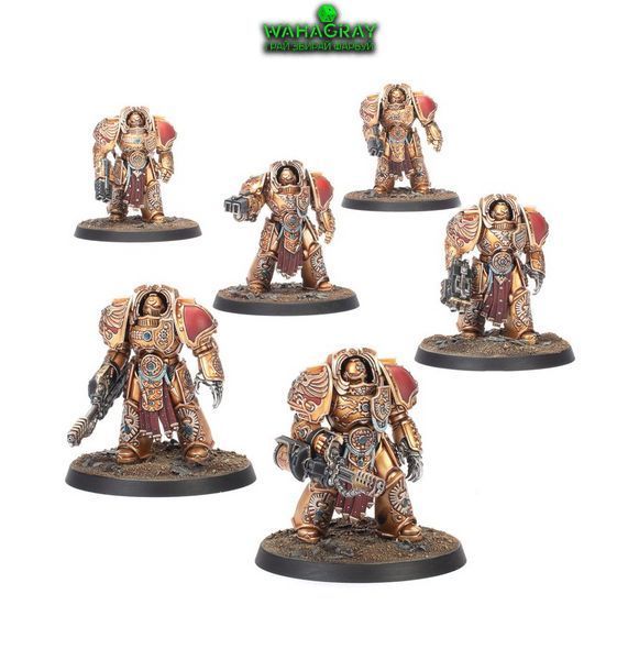 Предзаказ Набор миниатюр CUSTODES - AQUILON TERMINATOR SODALITY