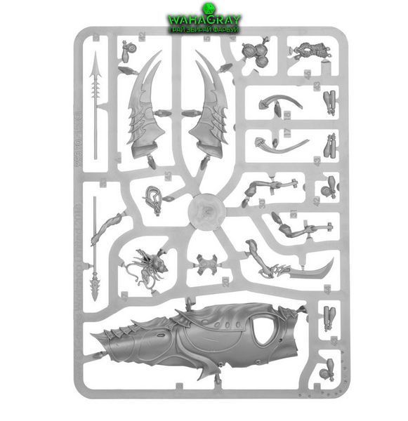 Мініатюра IDONETH DEEPKIN - AKHELIAN ALLOPEX
