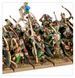 Набор миниатюр WOOD ELF REALMS - GLADE GUARD