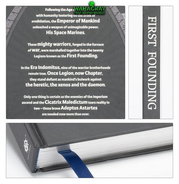 Книга THE FIRST FOUNDING (HB)