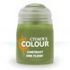 Краска CONTRAST - ORK FLESH 18ML