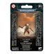Миниатюра TAU EMPIRE - KROOT FLESH SHAPER