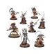 Набор миниатюр AGE OF SIGMAR: WARCRY - ASKURGAN TRUEBLADES 99120207131 фото 2