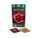 Карти RAGING SLAYERS RIVALS - DECK (ENG)