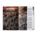 Журнал WHITE DWARF 515 (AUG-25) (ENGLISH)