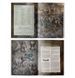 Книга правил BATTLETOME - ORRUK WARCLANS (HB) (ENG)