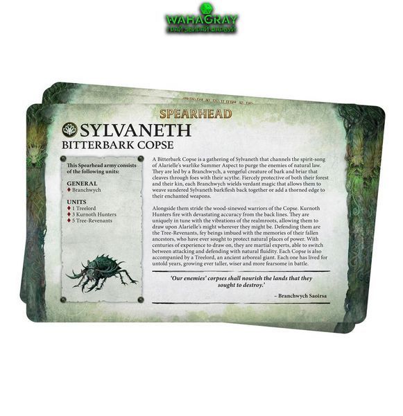 Карти FACTION PACK - SYLVANETH (ENG)