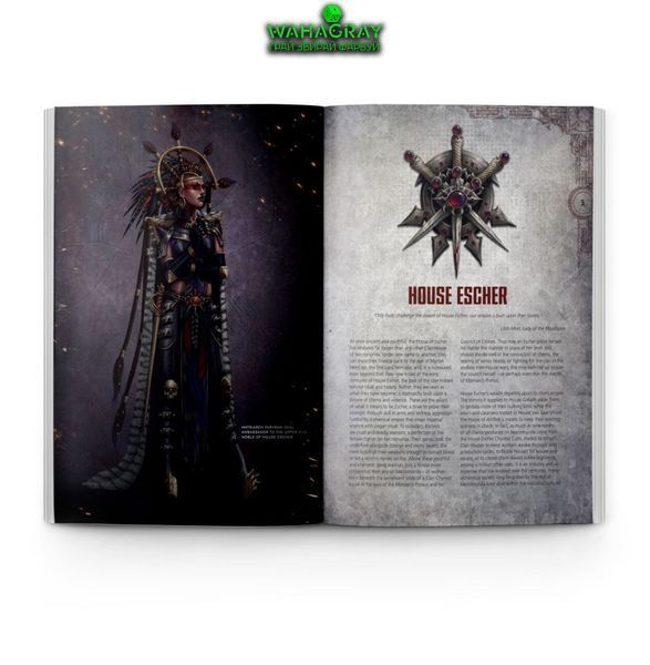 Книжка HOUSE OF BLADES (ENG)