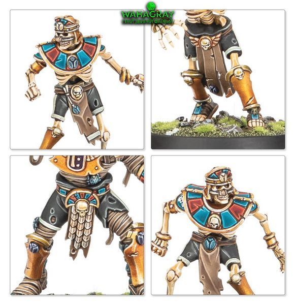Набор миниатюр TOMB KINGS TEAM_u