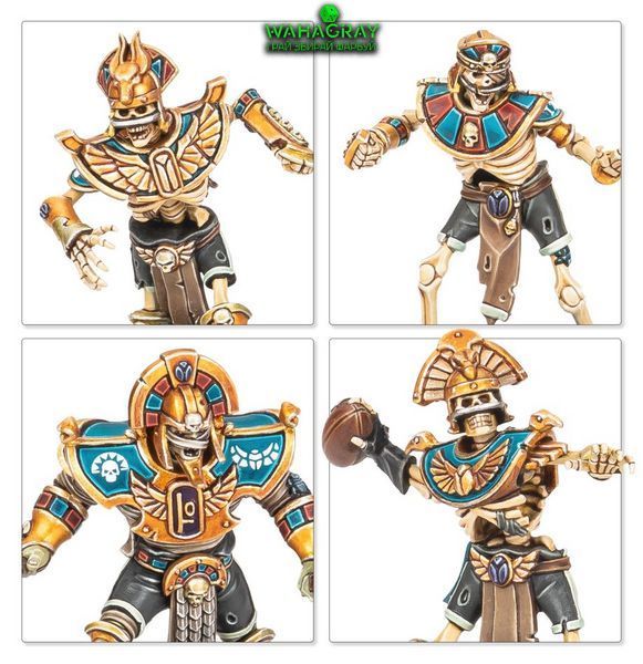 Набор миниатюр TOMB KINGS TEAM_u