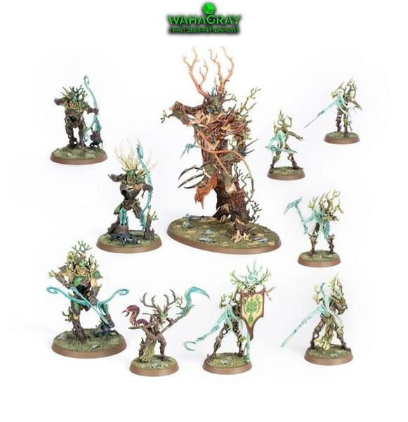 Набір мініатюр VANGUARD - SYLVANETH