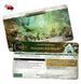 Карти WARSCROLL CARDS - SYLVANETH (ENG)
