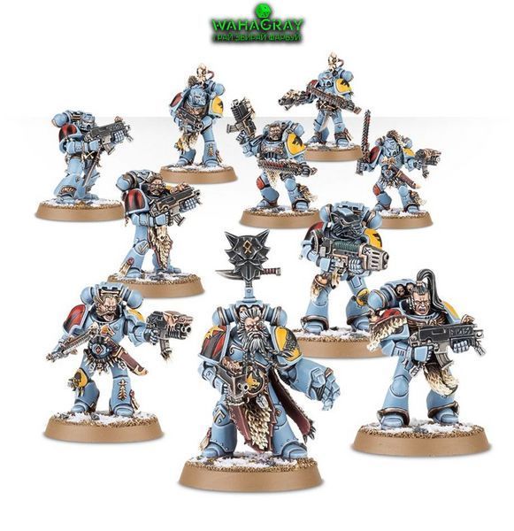 Набір мініатюр SPACE WOLVES - GREY HUNTERS_st