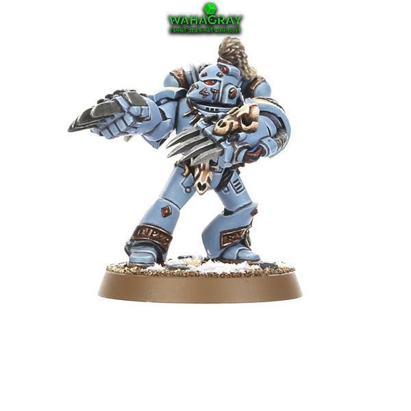 Набір мініатюр SPACE WOLVES - GREY HUNTERS_st