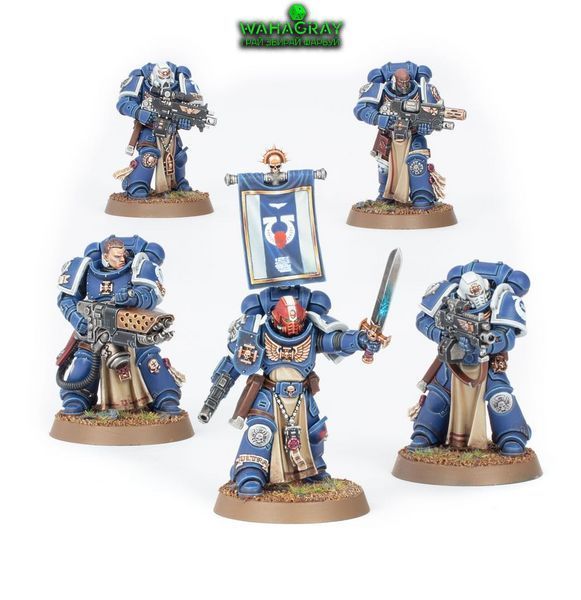 Набор миниатюр SPACE MARINES - STERNGUARD VETERAN SQUAD