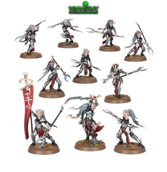 Набір мініатюр DAUGHTERS OF KHAINE - BLOOD HAGS