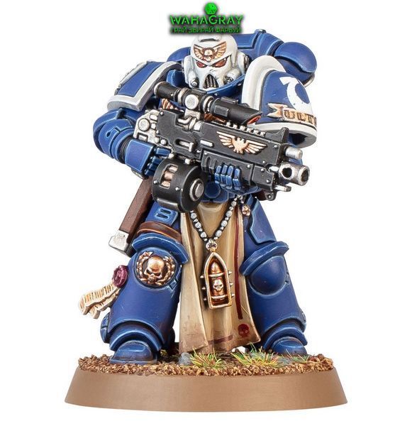 Набор миниатюр SPACE MARINES - STERNGUARD VETERAN SQUAD