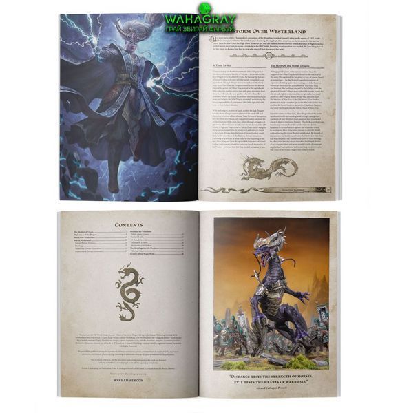 Альманах ARCANE JOURNAL - DAWN OF THE STORM DRAGON