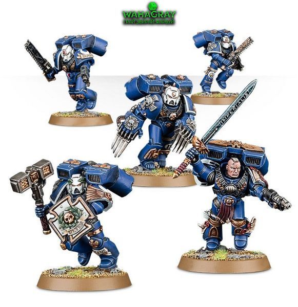 Набір мініатюр SPACE MARINES - VANGUARD VETERAN SQUAD